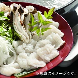 画像: 武田食品冷凍さんの由良の天然鱧が登場！！
